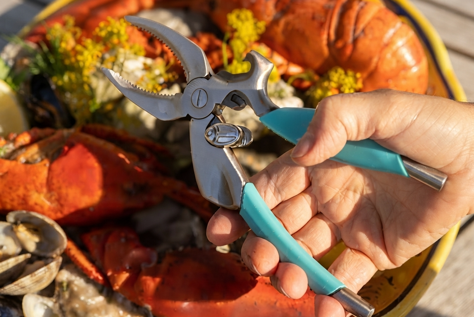 How to Use a Crab Claw Cutter | Toadfish Crab Claw Cutter Guide
