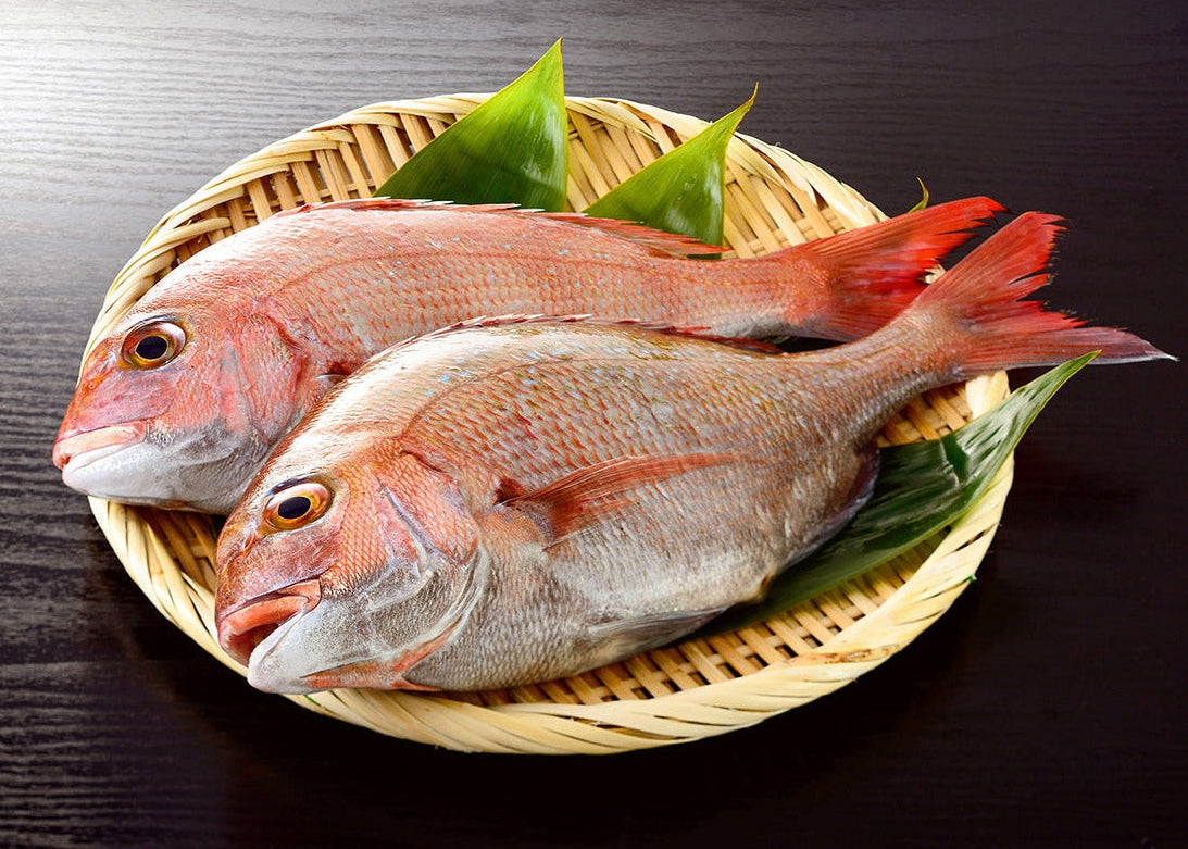 Japanese Fresh Madai Snapper (Whole And Fillet)