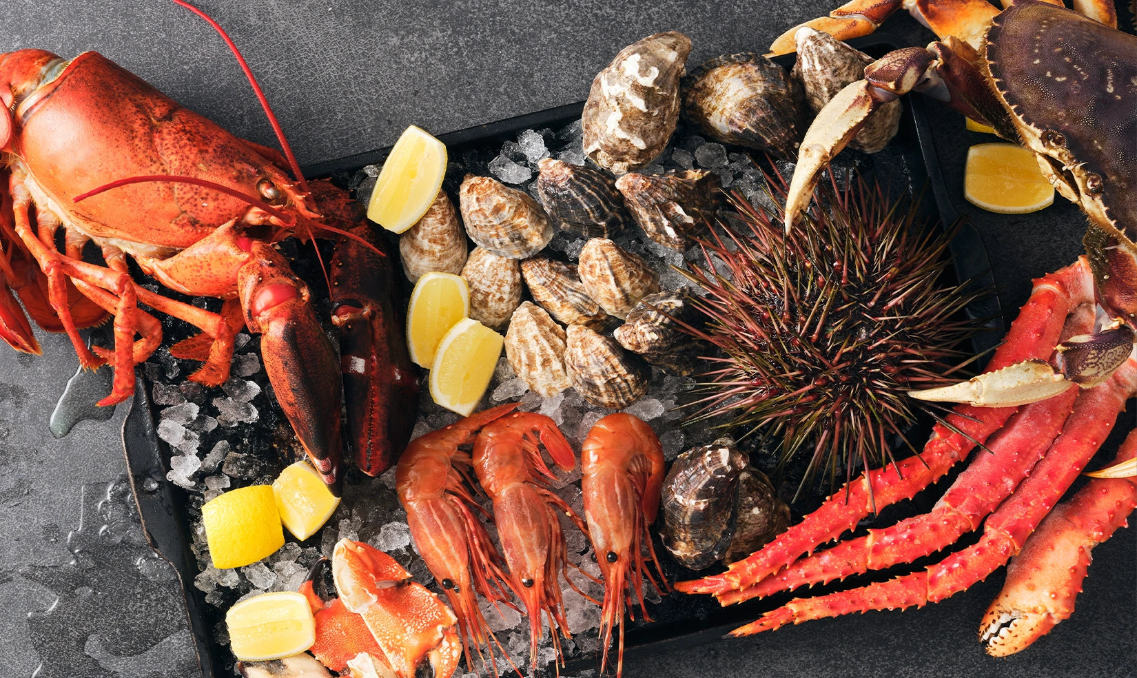 The Live Seafood Experience