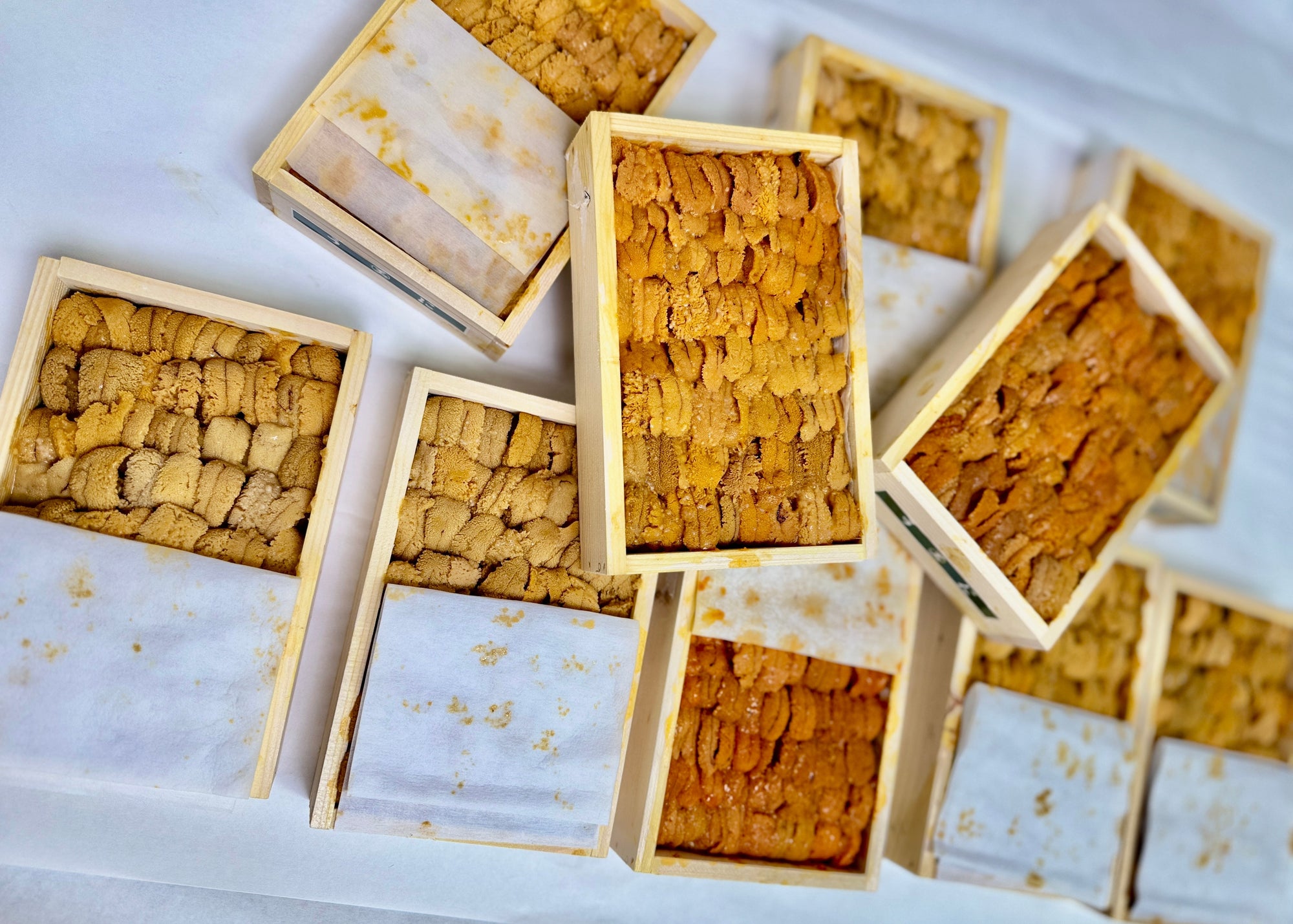 Japanese Uni Tray 300 g