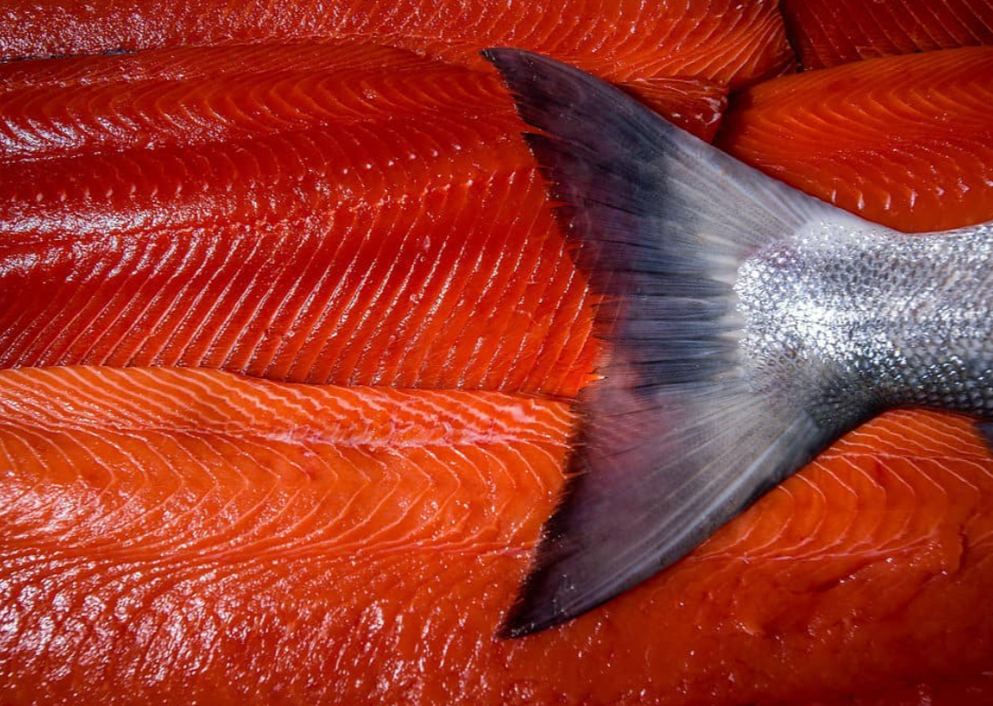Seasonal: Fresh Wild Alaskan King Salmon Fillets 3 LBS