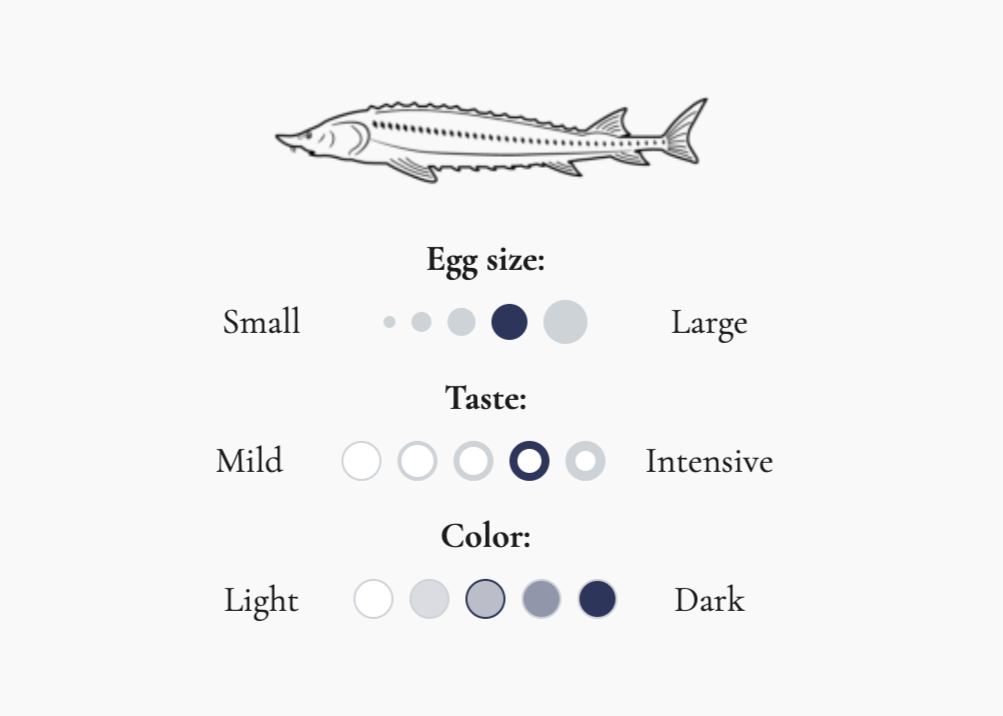 Imperial Sturgeon Kaluga Caviar (Asia)