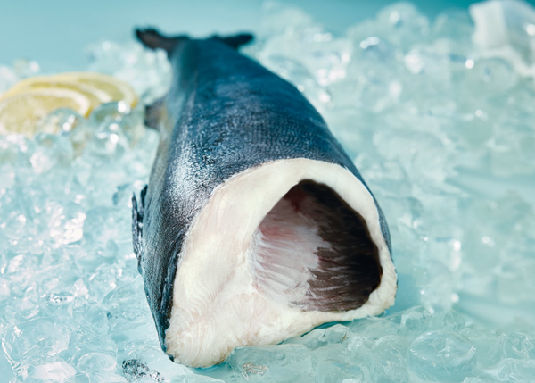 Premium Black Cod (Sablefish) – Sustainably Sourced, Fresh Whole and F ...