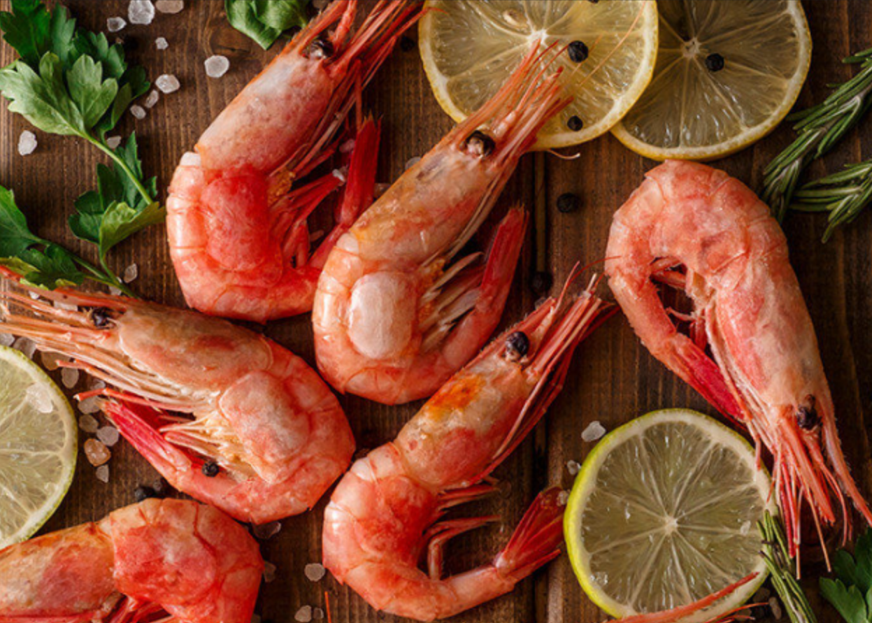 Frozen Murmansk Shrimp (2 lb Pack)