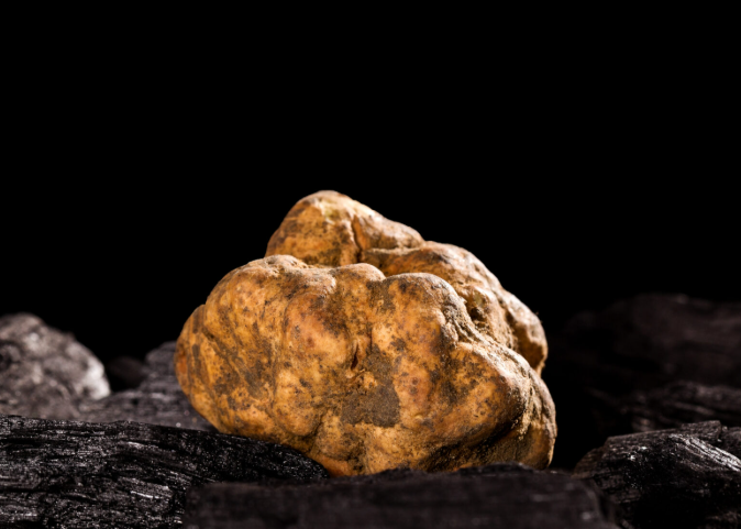 Italian Fresh White Truffle (Tuber magnatum) (per oz)