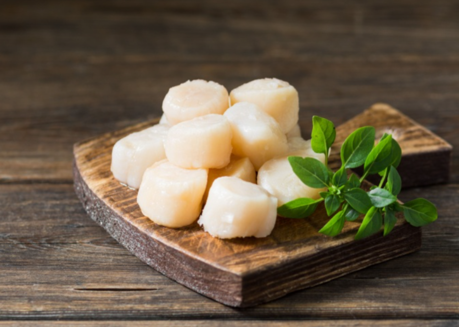 Fresh Jumbo u10 Diver Sea Scallops