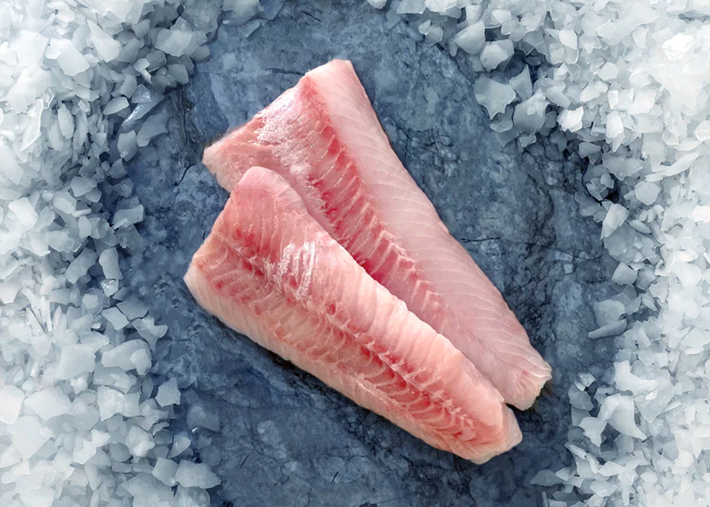 Raw Lingcod Alaskan Lingcod Fillet 3 lb Average - CAVIARMAN GOURMET