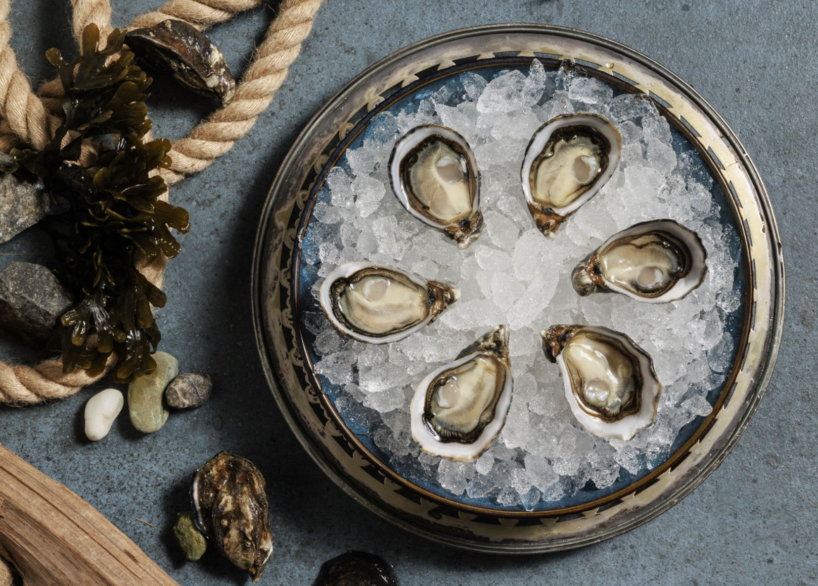 Live Oysters - Taylor Shellfish Selection