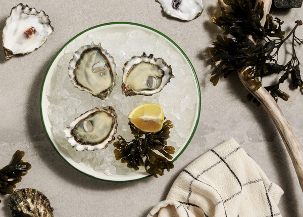 Live Oysters - Taylor Shellfish Selection - CAVIARMAN GOURMET