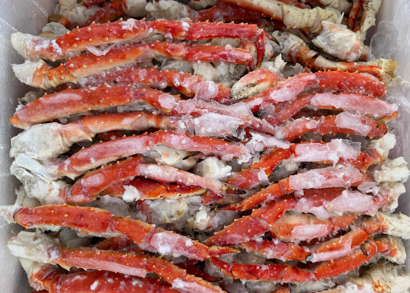 Fresh Alaskan Red King Colossal Legs