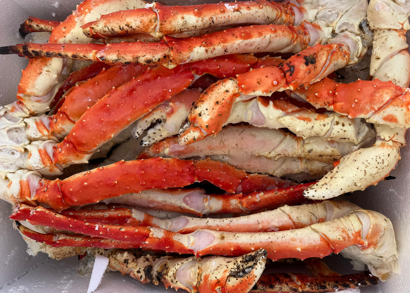 Fresh Alaskan Red King Colossal Legs