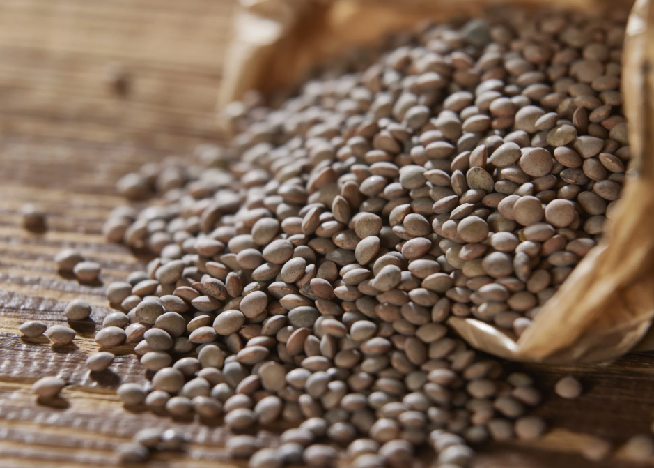 Catedral Legumes