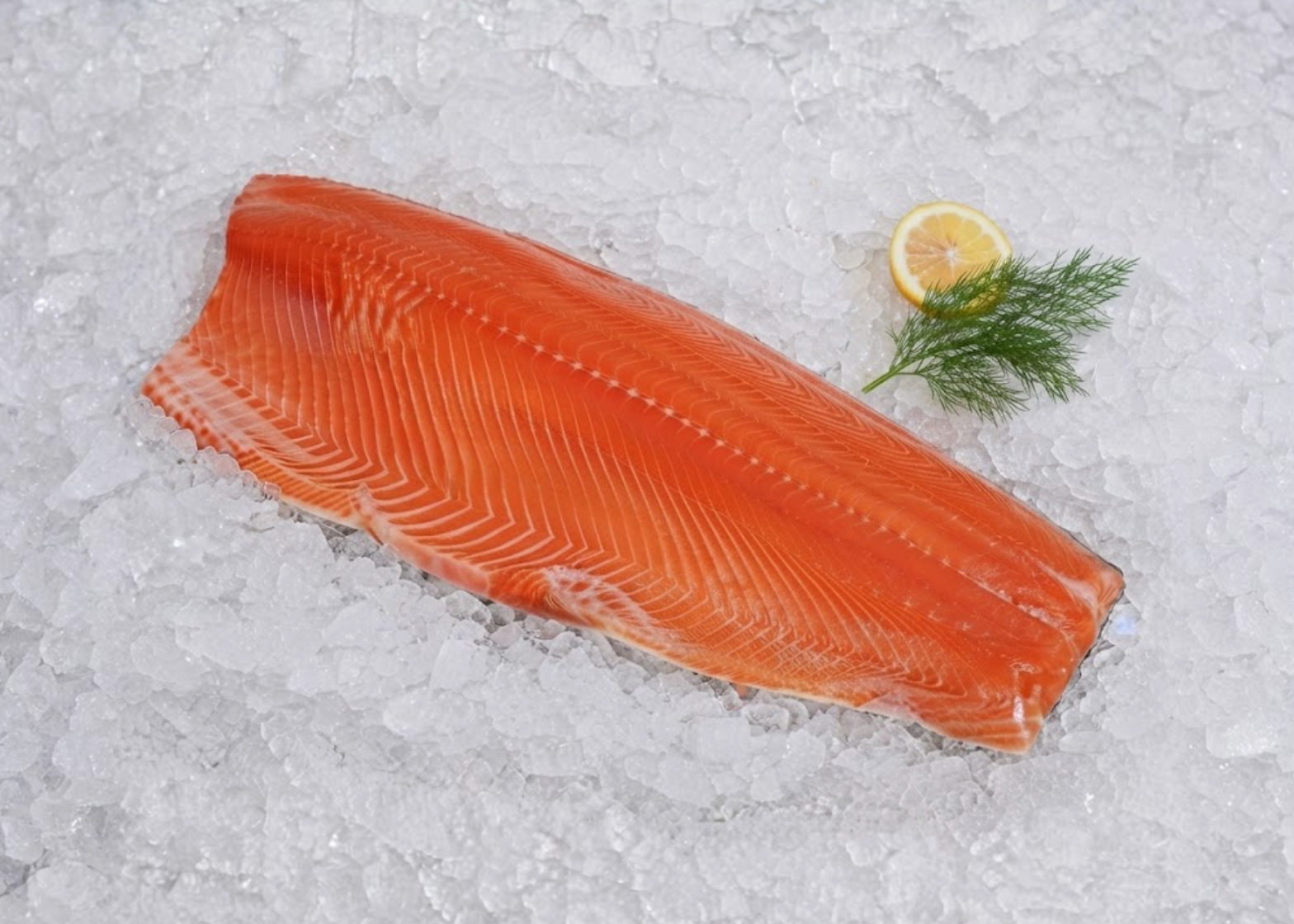 Fresh Wild King Salmon Whole, Steaks, Fillet (10-12 lbs Average)