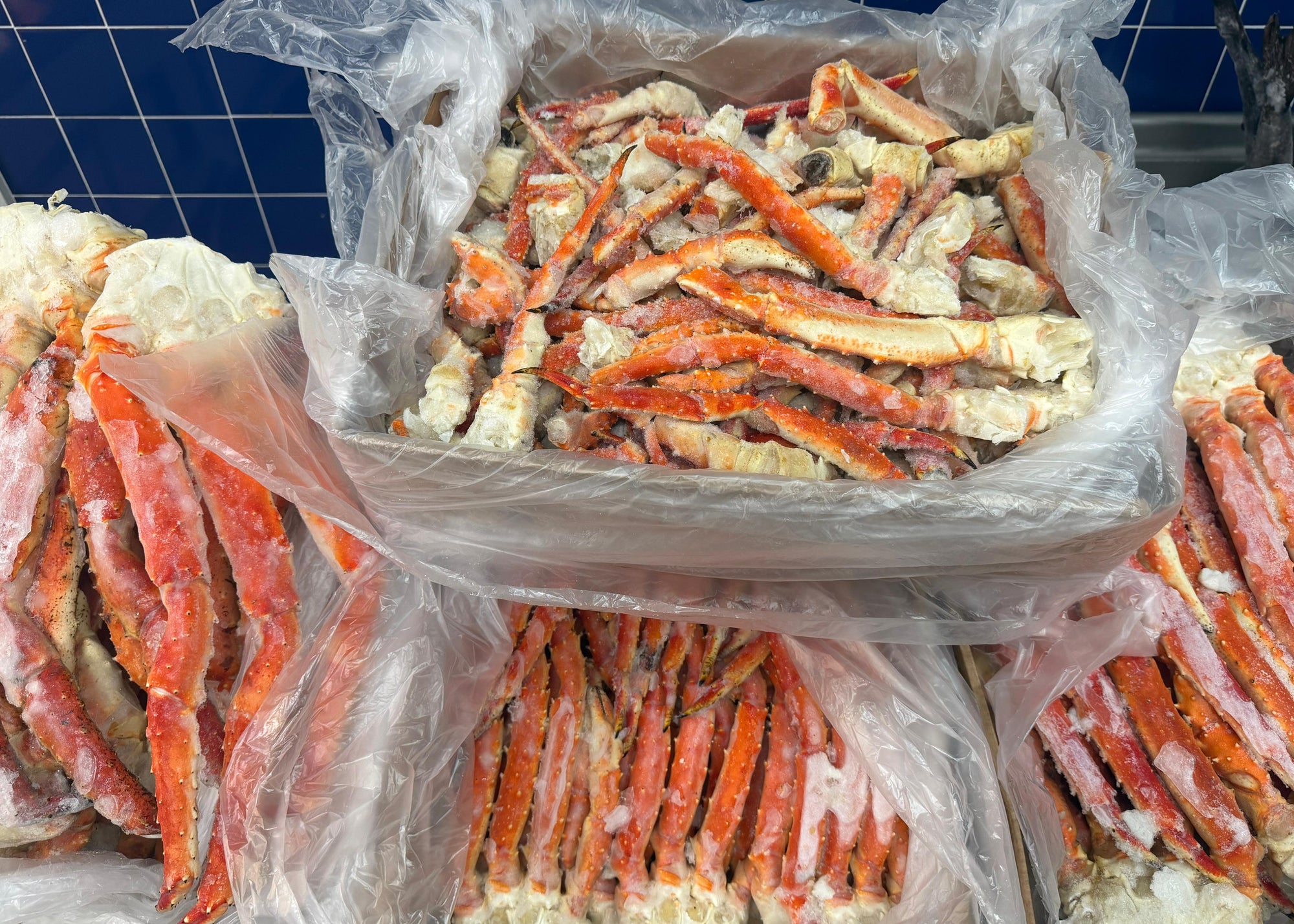 Alaskan Red King Legs