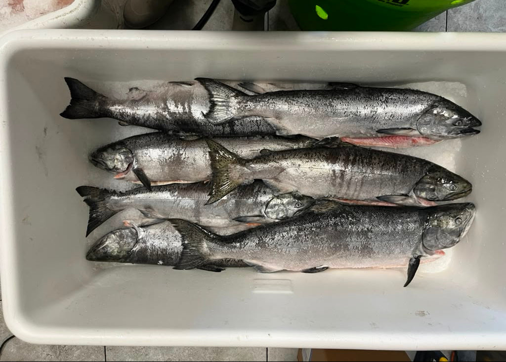 Copper River Sockeye Salmon (Whole or Fillet)