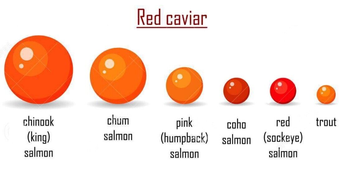 guide to red caviar sizes